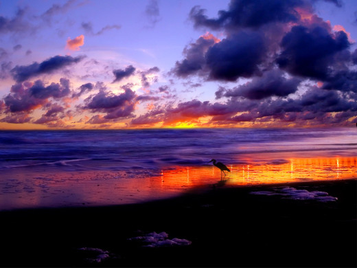 38929 (a): :1600x1200